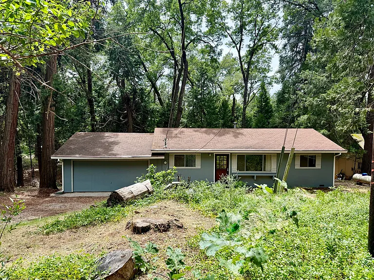 11599 Upper Pine Hill Dr — Photo 3