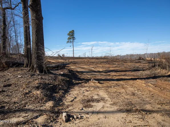 Fox Rd Lot 1, Vicksburg, MS 39183