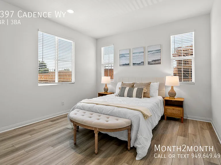 4397 Cadence Way — Photo 14