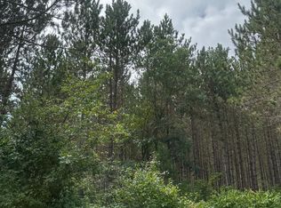 Lee Rd #1, Tomahawk, WI 54487