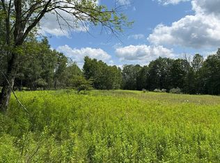 Dimmick Mountain Rd, Fleischmanns, NY 12430