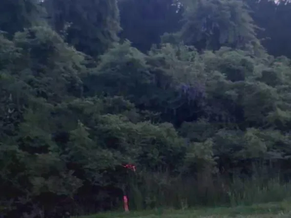 Worcester Hwy, Bishopville, MD 21813