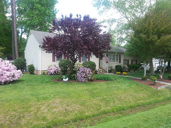 2nd image of 113 Ferrier Pl