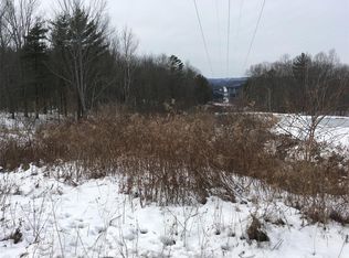 106 Palmer Hill Rd, Pt Crane, NY 13833
