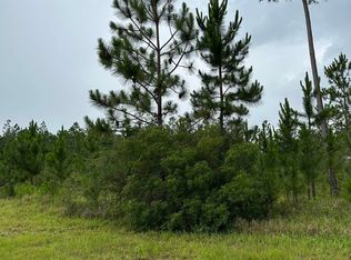 10982 Tall Timbers Ln, Elberta, AL 36530