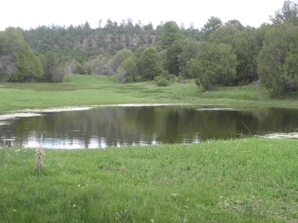 LOT 1 Section 17 20 Tn 26 N Rg #5E, Canjilon, NM 87515