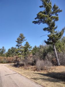 Lot 18 & 19 Whitetail Court, Black River Falls, WI, 54615