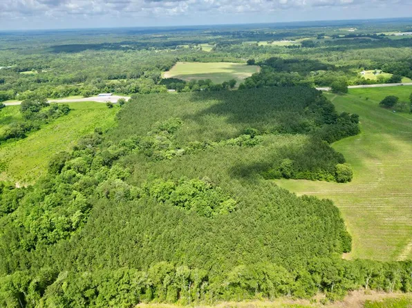 1098 Us Highway 231, Brundidge, AL 36010