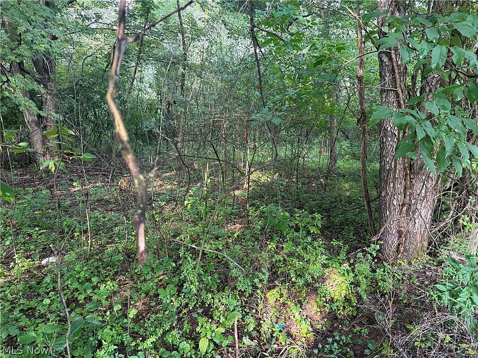 1st image of 15 Cayuse Trl
