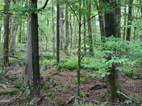 LOT 2219 Hemlock Ter N, Greentown, PA 18426
