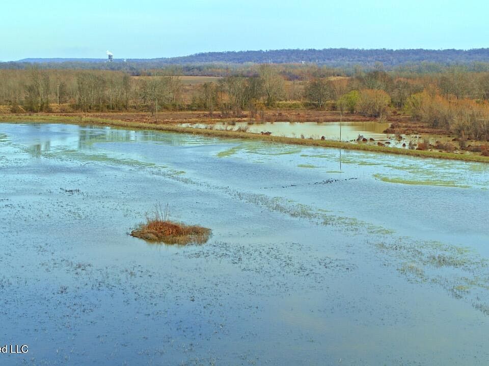 40th image of this home