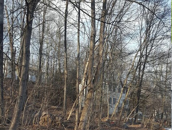 2nd image of 0 Hickory Ave