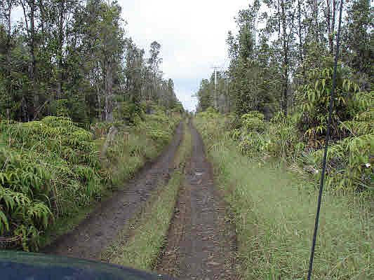 2nd image of LOT 21