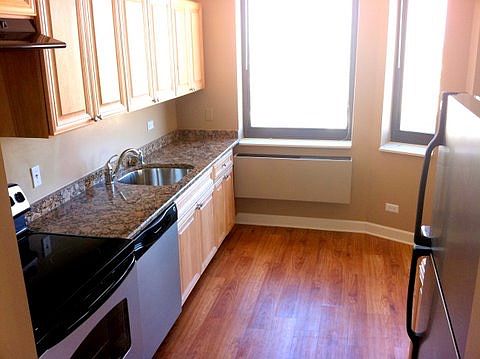 5th image of 325 W Illinois St #910