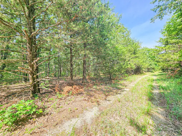 Tract 9 Buck Mountain, Cross Timbers, MO 65634