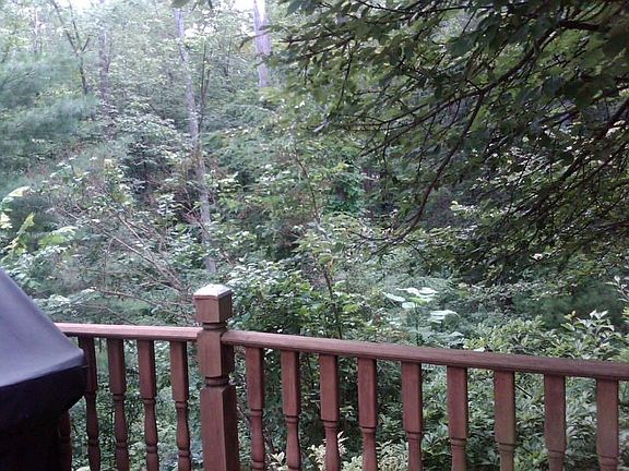 View of conservation land
