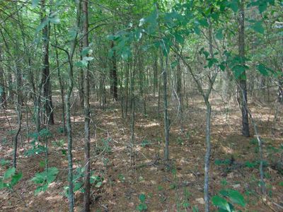 LOT 10 B Tumbling Shoals Ests LOT 10, Tumbling Shoals, AR, 72581