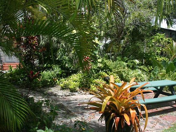 BACK YARD AREA