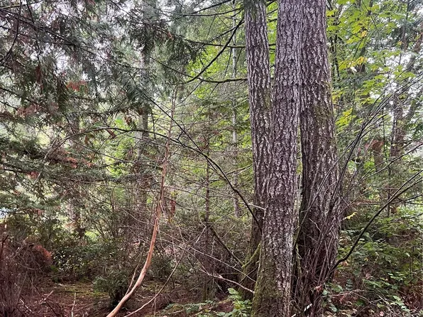 0 E Deer Drive, Shelton, WA 98584