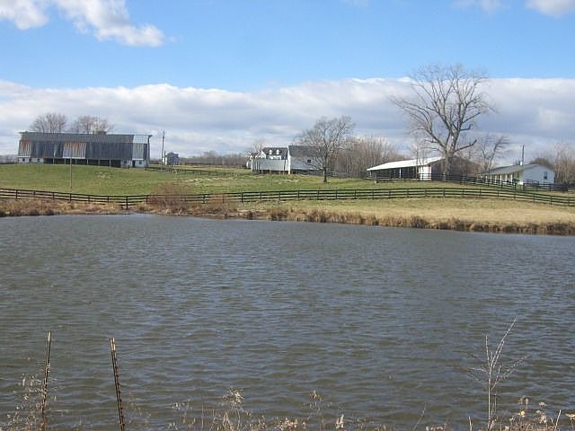 View Of Estate