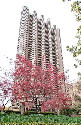 Rented by Douglas Elliman | media 18