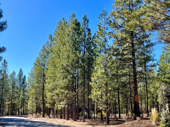 14165 Whitewater Loop, La Pine, OR 97739