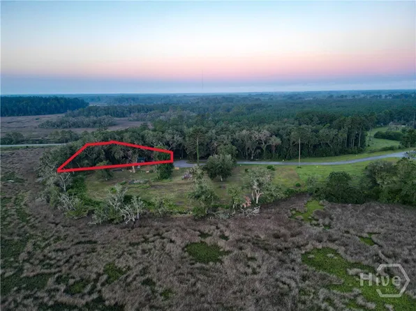 Lot #2 1194 Retreat Lane NE, Townsend, GA 31331