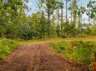 PARCEL Nuenfelt Rd #B, Johannesburg, MI 49751