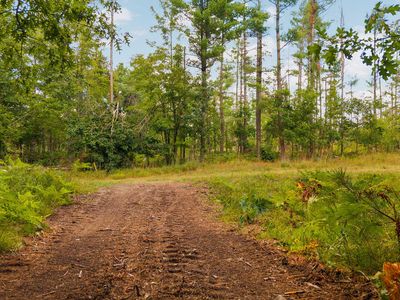 PARCEL Nuenfelt Rd #B, Johannesburg, MI, 49751