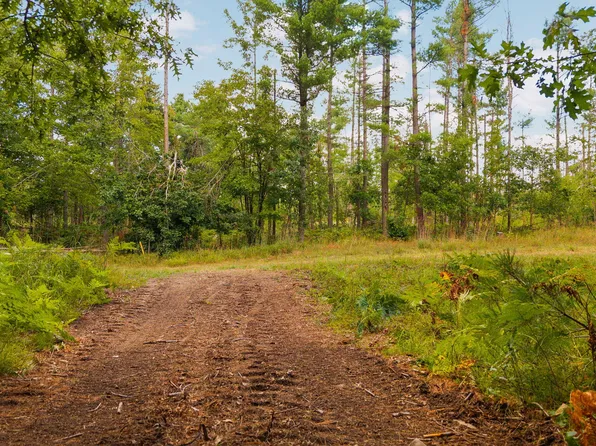 PARCEL Nuenfelt Rd #B, Johannesburg, MI 49751