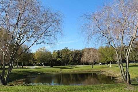 Behind pond facing street N
