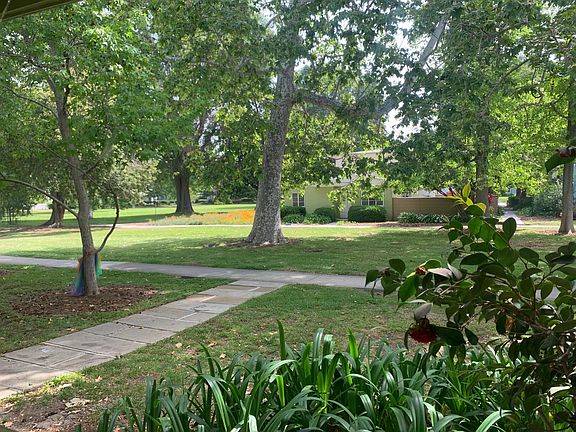 view from the living room windows. poppy fields in full bloom in the distance.