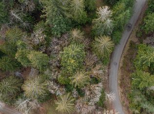 0 Mountain Trail Rd, Brinnon, WA 98320