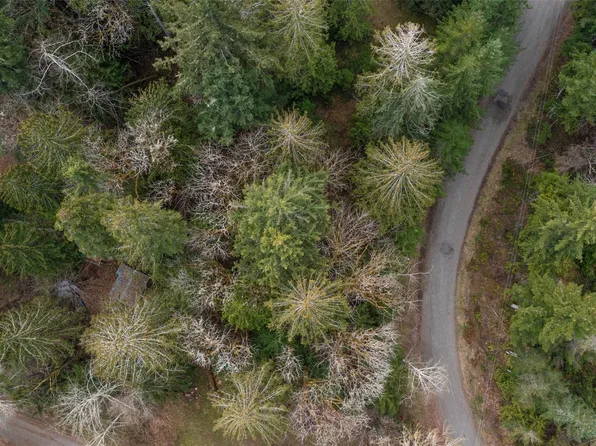 0 Mountain Trail Road, Brinnon, WA 98320