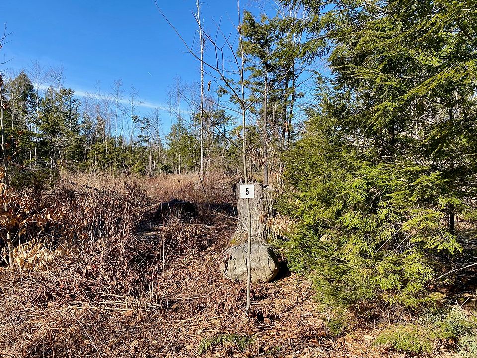 2nd image of Lot 5 North Gorham Road