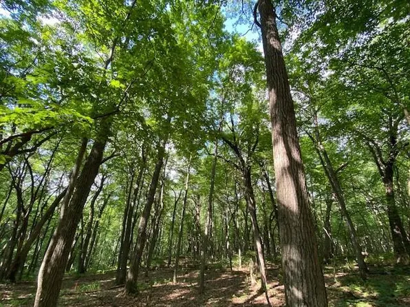 10 Acres Observatory ROAD Lot 2, Cross Plains, WI 53528