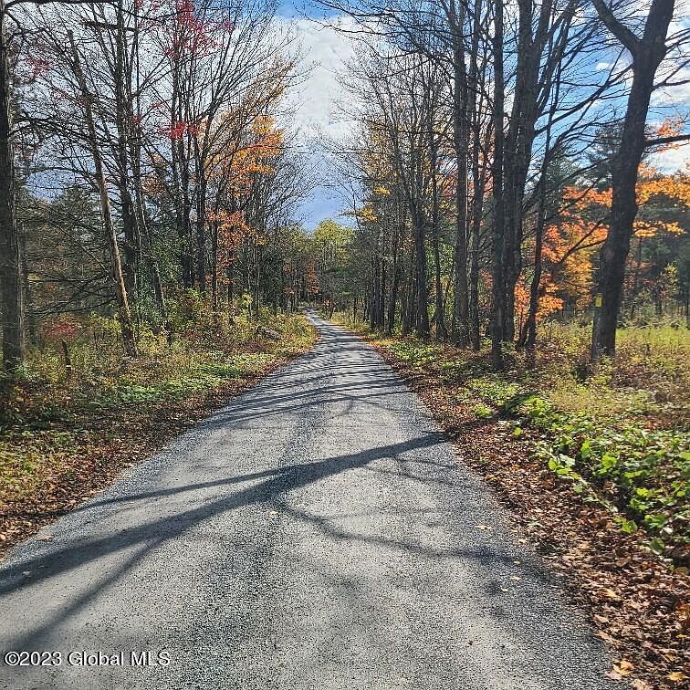 L4.1 Dinny Road, Buskirk, NY 12028 Zillow