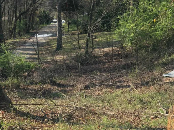 165 Peachtree St, Loudon, TN 37774