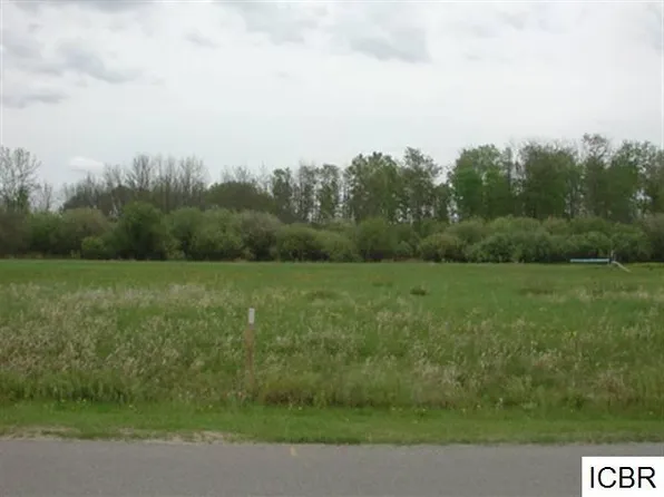 LOT 2 Tamarack Ln, Deer River, MN 56636