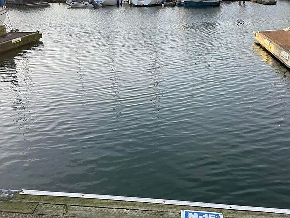 3rd image of SE Bay Blvd