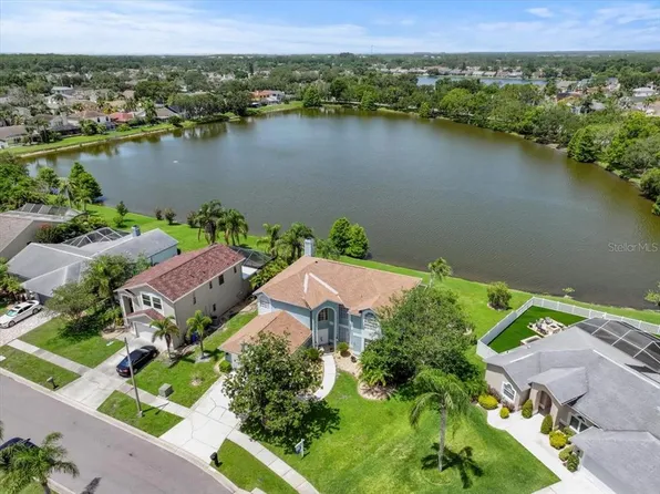 11519 Glenmont Dr, Tampa, FL 33635