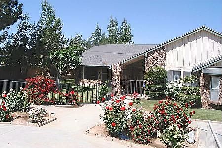 Front yard 