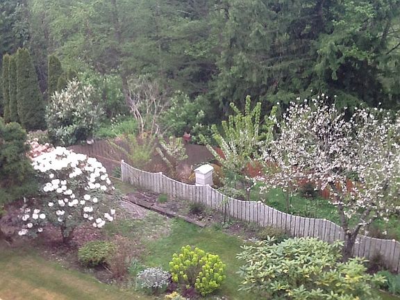 Landscaped with fruit trees