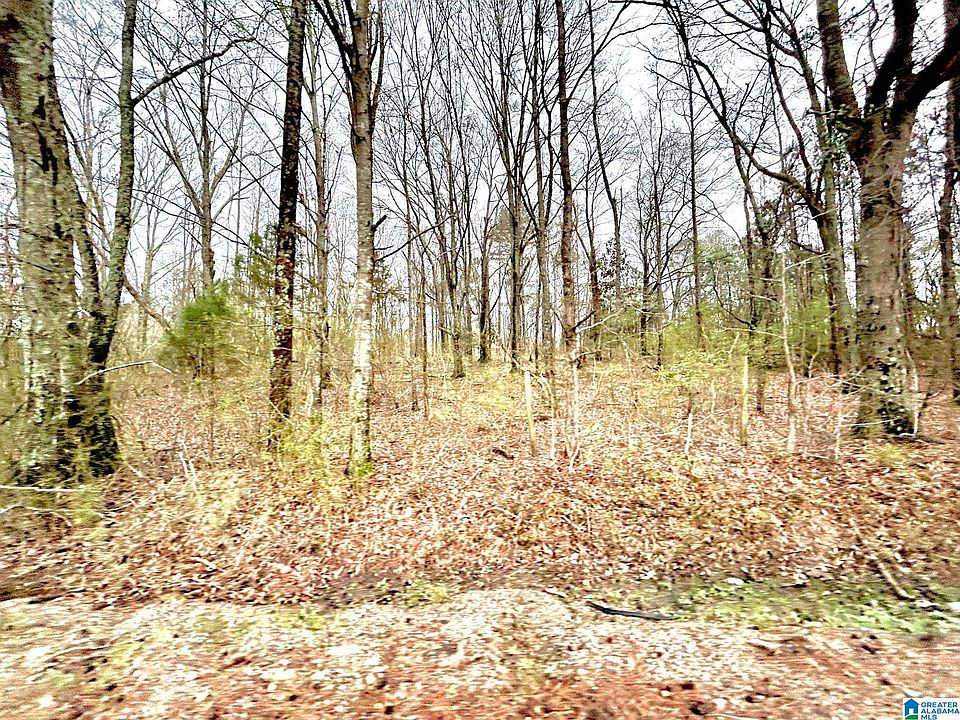 1 Kelly Creek Rd 1 & 2, Moody, AL 35004 Zillow