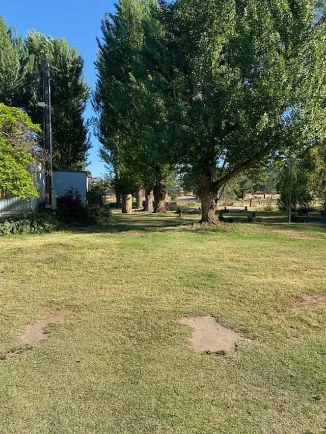 37667 Shadybrook Ln photo 1