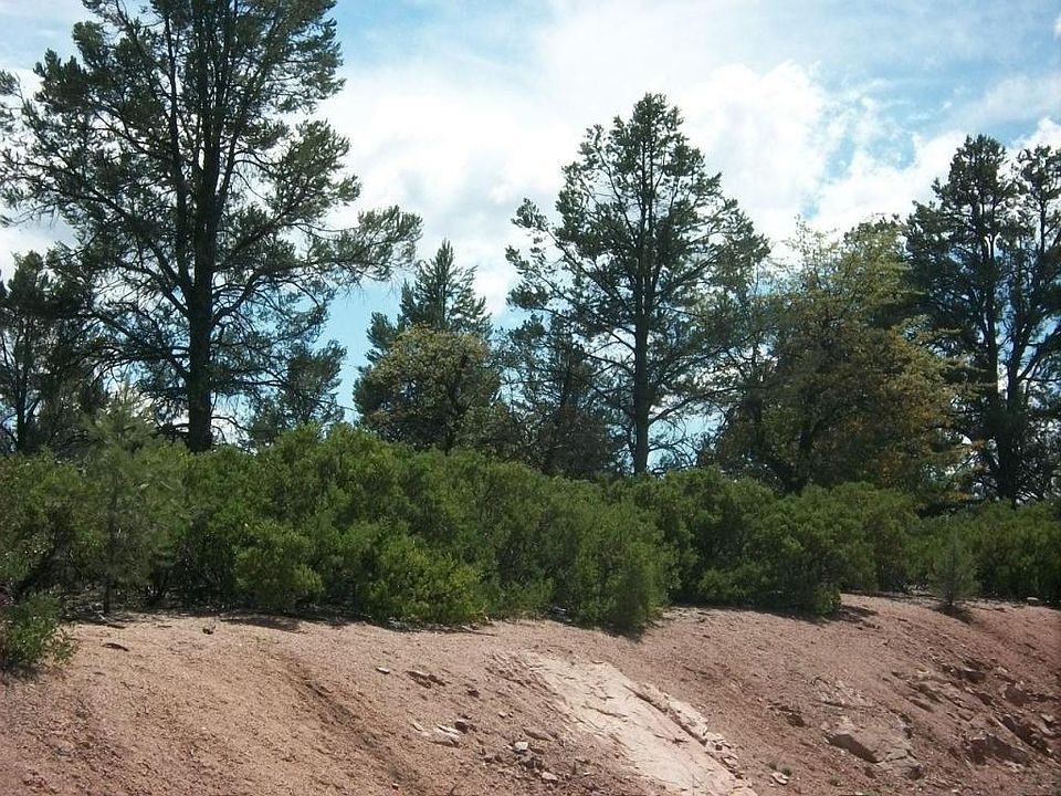 2nd image of 1101 W Wagon Trl