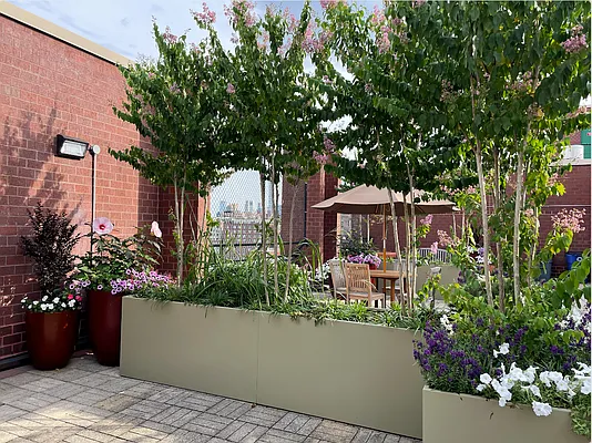 Rented by Corcoran | media 11