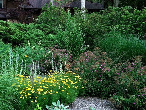 Front landscaping (street view)
