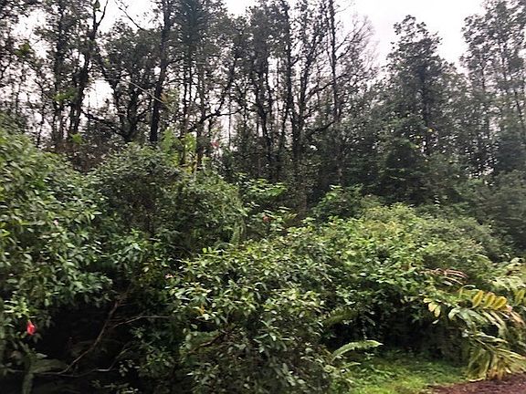 3rd image of 12-4337 Lanai St #735