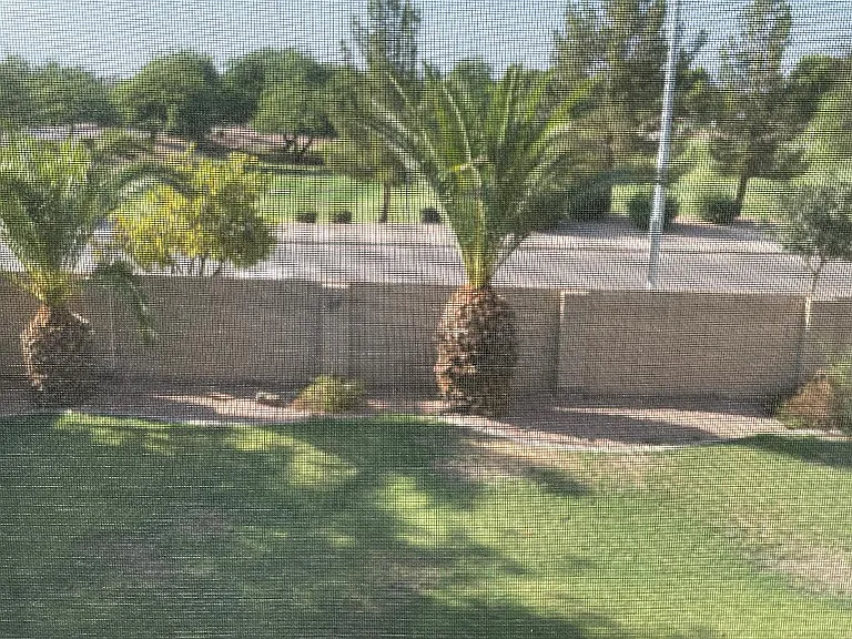 View from the 1st floor Den/Office